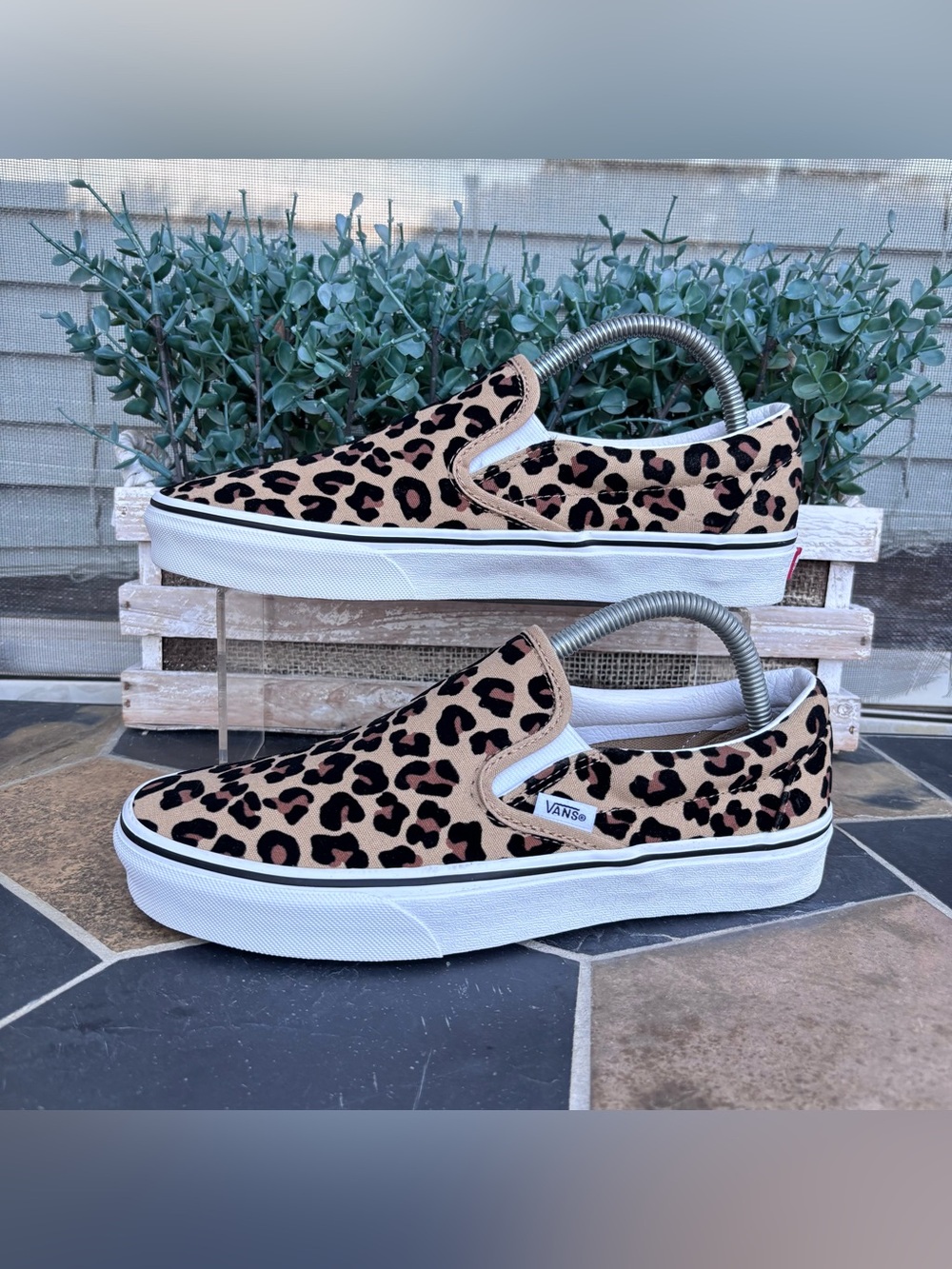 Vans Slip-On Skate Shoe - Leopard